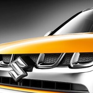 Front Grille Garnish | Vitara Brezza